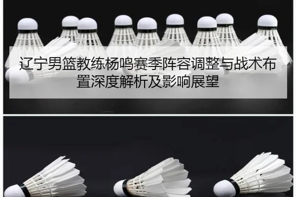 liao-ning-nan-lan-jiao-lian-yang-ming-sai-ji-zhen-rong-tiao-zheng-yu-zhan-shu-bu-zhi-shen-du-jie-xi-ji-ying-xiang-zhan-2-216.jpg