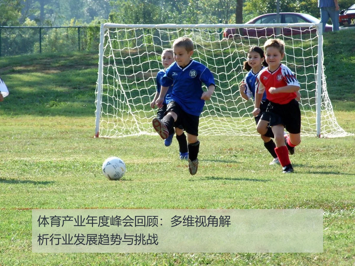 体育产业年度峰会回顾:多维视角解析行业发展趋势与挑战